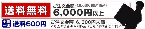 ������5000�~�ȏ㑗������